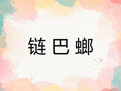 链巴螂