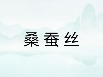 桑蚕丝