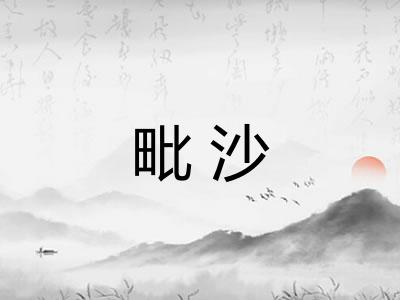 毗沙