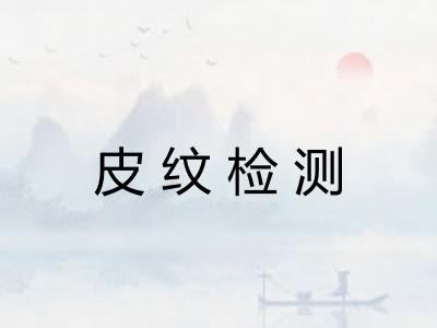 皮纹检测