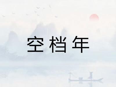 空档年