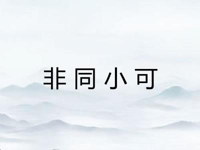 非同小可