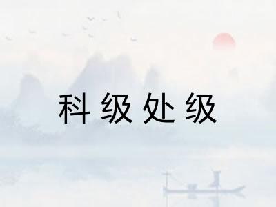 科级处级