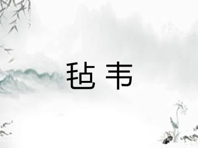 毡韦