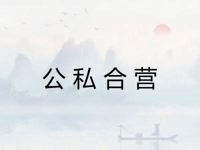 公私合营