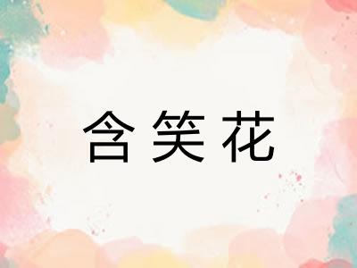 含笑花