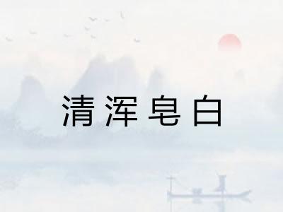 清浑皂白