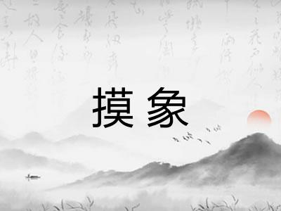 摸象