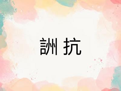 詶抗