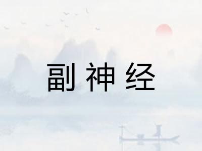 副神经