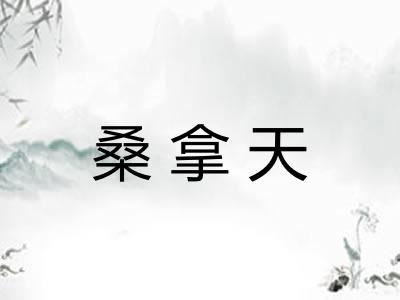 桑拿天