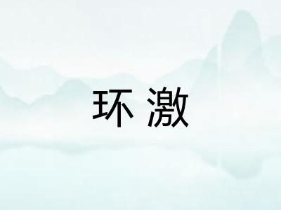 环激