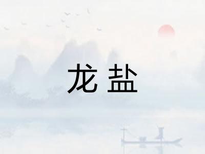 龙盐