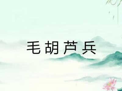 毛胡芦兵