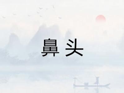 鼻头