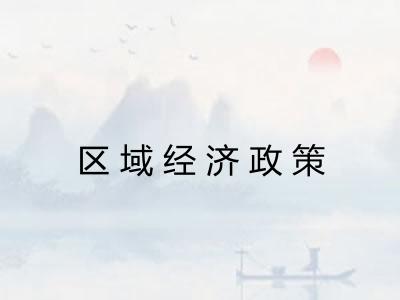 区域经济政策