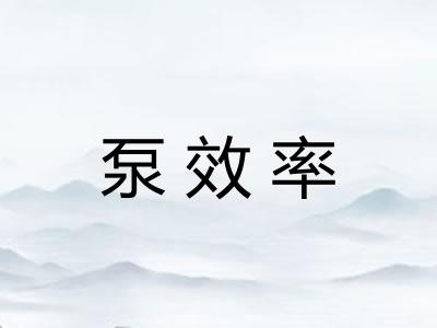 泵效率