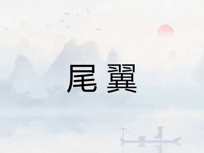 尾翼