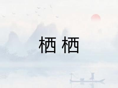 栖栖