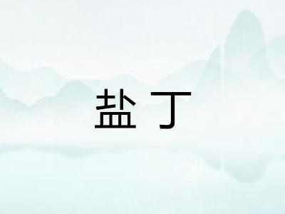 盐丁