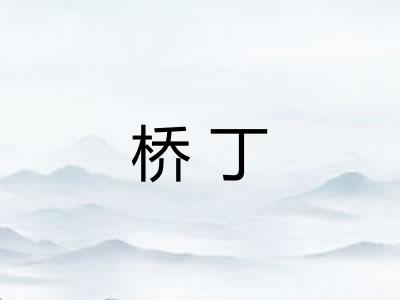 桥丁