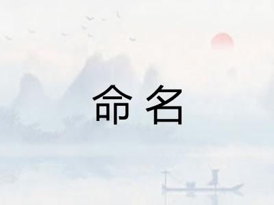 命名