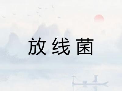 放线菌