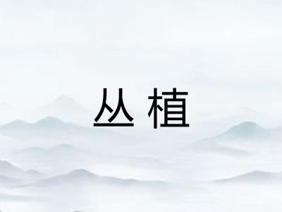 丛植