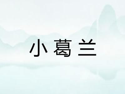 小葛兰