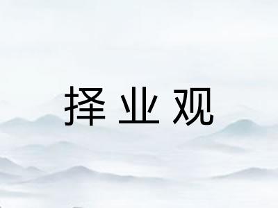 择业观