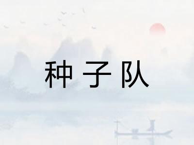 种子队