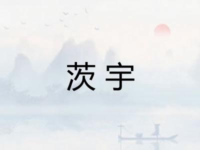 茨宇