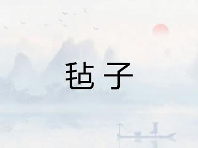 毡子