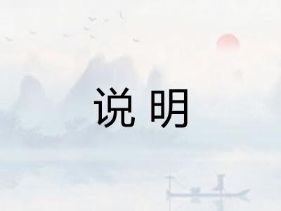 说明