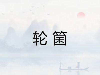 轮箘