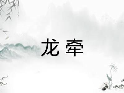 龙牵