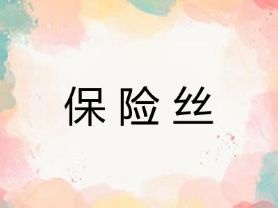 保险丝