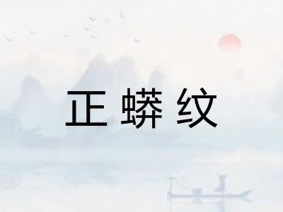 正蟒纹