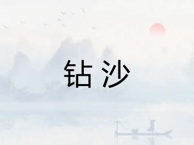 钻沙