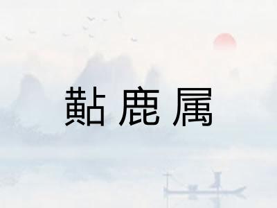 黇鹿属