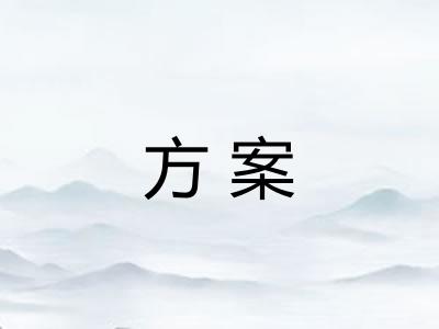 方案