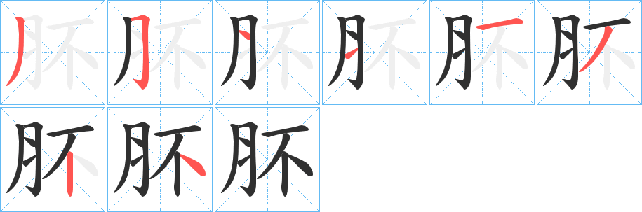 肧的笔顺分步演示图