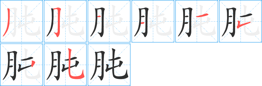 肫的笔顺分步演示图