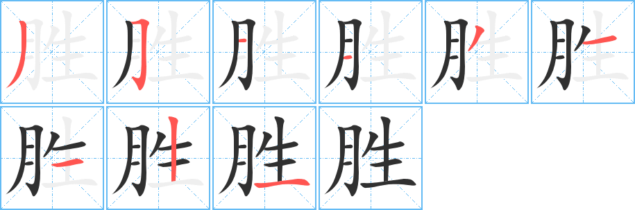 胜的笔顺分步演示图