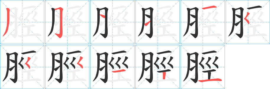 脛的笔顺分步演示图