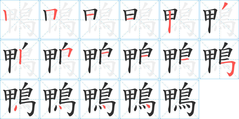 鴨的笔顺分步演示图