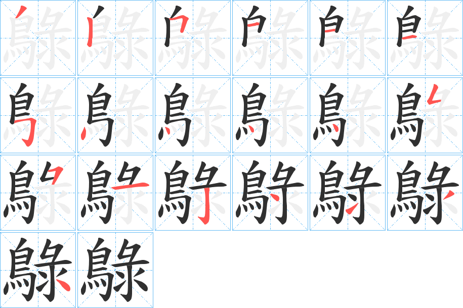 鵦的笔顺分步演示图