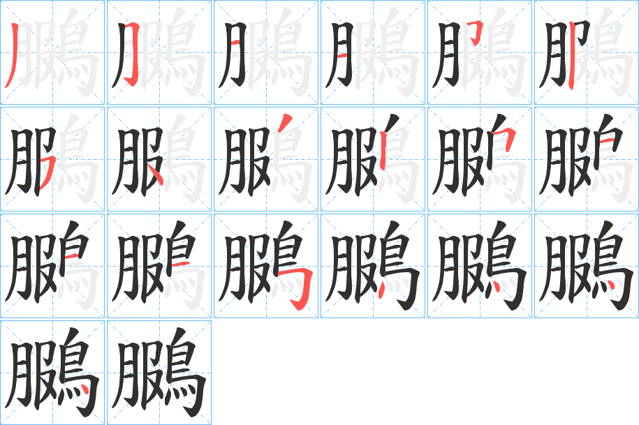 鵩的笔顺分步演示图