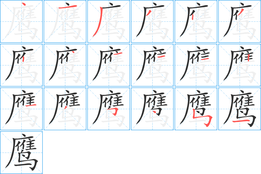 鹰的笔顺分步演示图